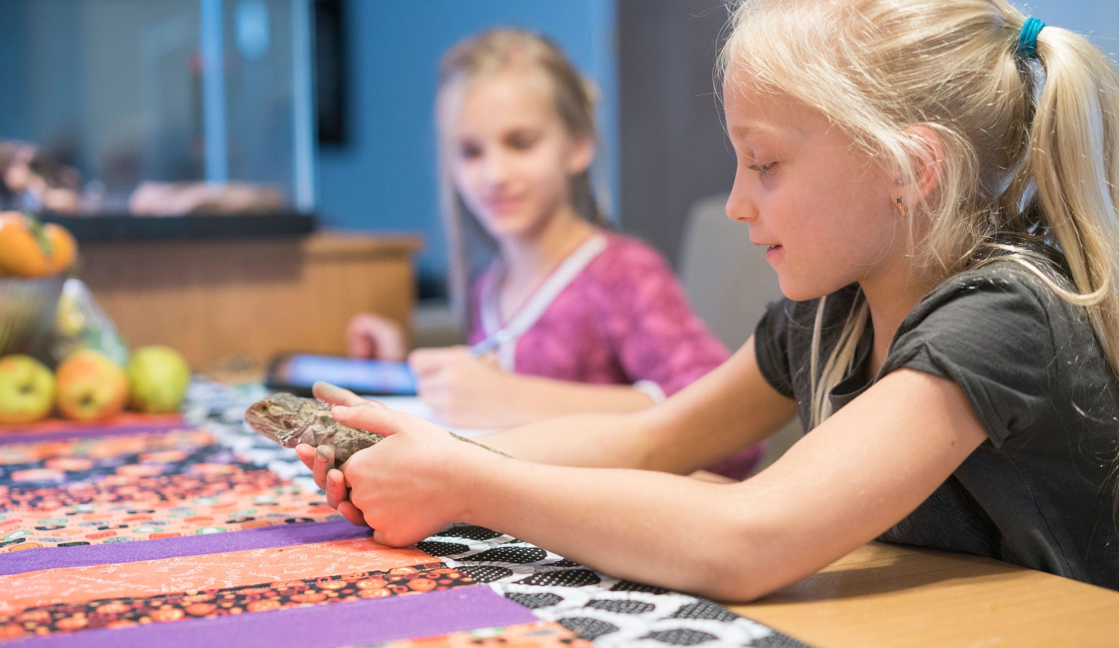 Homeschool tabletop role-playing activity in progress